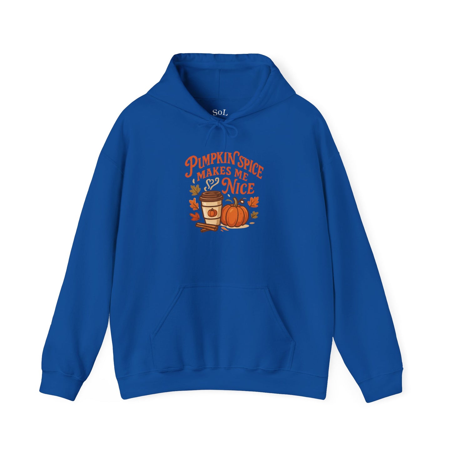 Pumpkin Spice Makes Me Nice Hoodie