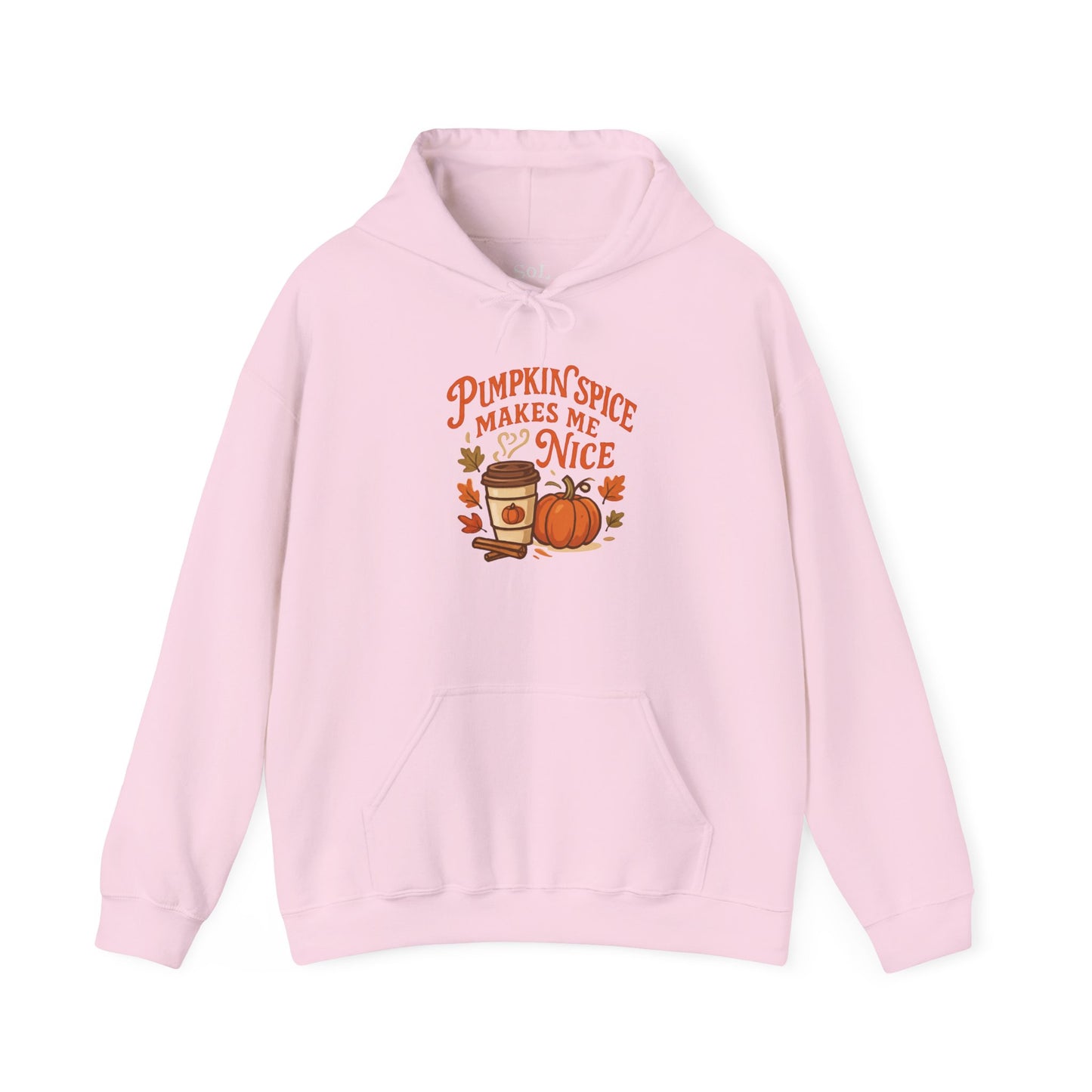 Pumpkin Spice Makes Me Nice Hoodie